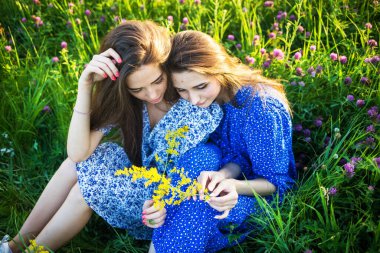 İki genç Avrupalı güzel kız kır çiçekleriyle dolu bir arazide