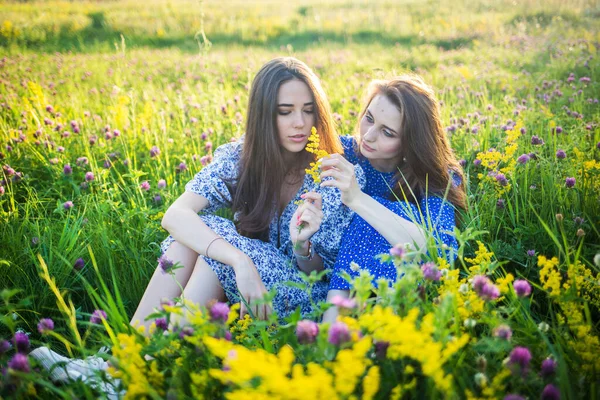 Zwei Junge Europäische Schöne Mädchen Einem Feld Von Wildblumen — Stockfoto