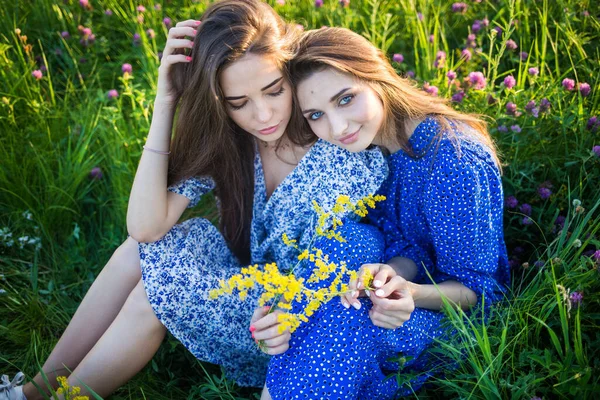 Duas Jovens Meninas Bonitas Europeias Campo Flores Silvestres — Fotografia de Stock