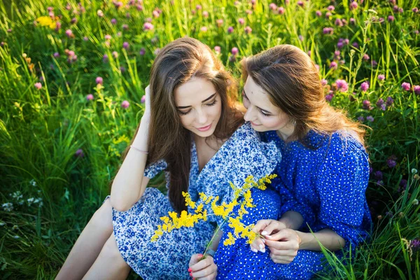 Deux Jeunes Filles Européennes Belles Dans Champ Fleurs Sauvages — Photo