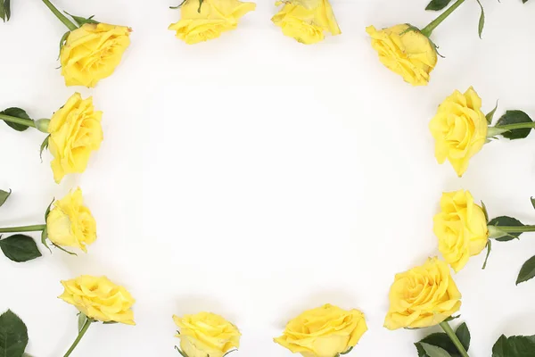 Twelve yellow roses arranged as oval frame border. Yellow roses surround the edges of white paper. Bright yellow roses with stems and leaves surround the sides of white paper as a surrounding border.
