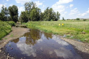 Galilee, Israil Golan Heights yolda havuzda yansıma