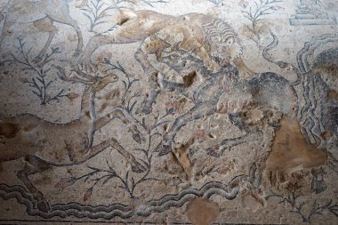 Zippori, Israil-Circa Mayıs 2018 Nil evinde yerde mozaikler