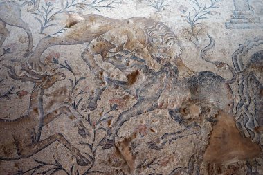 Zippori, Israil-Circa Mayıs 2018 Nil evinde yerde mozaikler