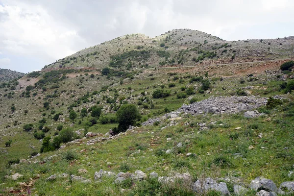 Route Sur Mont Hermon Dans Les Hauteurs Golan Israël — Photo