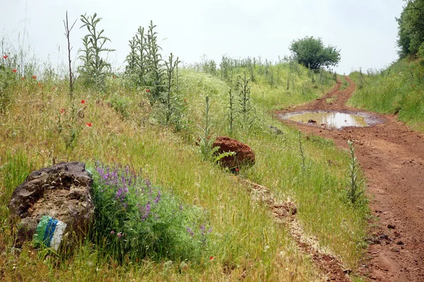 Bazén Turistické Stezce Golan Golanských Výšin Izraeli — Stock fotografie