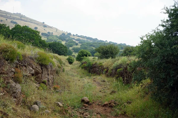 Protitankový Příkop Golanských Výšinách Galileji — Stock fotografie