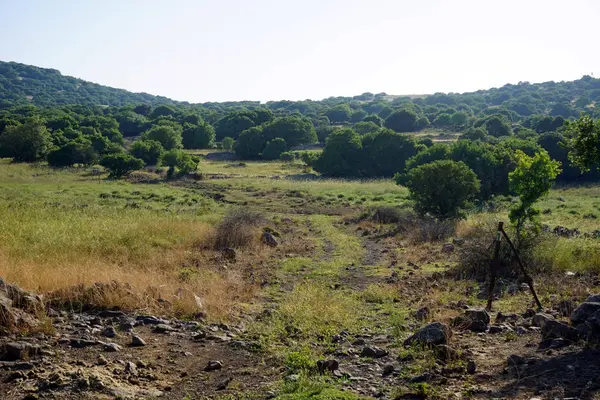 Camino Tierra Los Altos Del Golán Galilea Israel —  Fotos de Stock