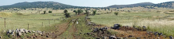 Hauteurs Golan Chemin Terre Galilée Israël — Photo