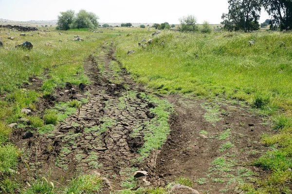 フィールド上の未舗装の道路 — ストック写真