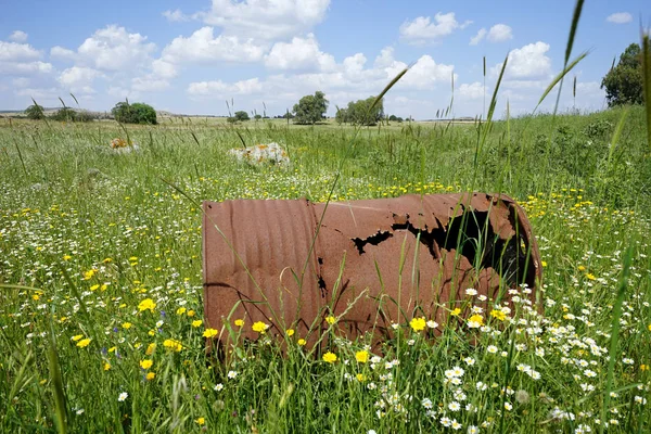 在以色列加利利的田野上 锈迹斑斑的桶和野花 — 图库照片