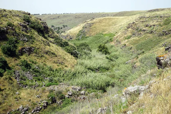 Kloof Golan Heights Galilea Israël — Stockfoto