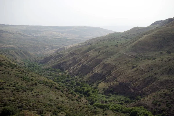 Galilee Israil Yeşil Gorge — Stok fotoğraf