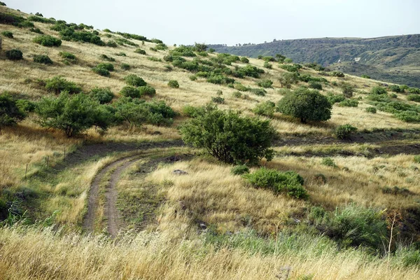 Galilee Israil Tepe Eğimi Üzerinde Takip — Stok fotoğraf