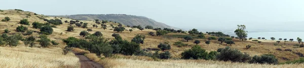 Toprak Yola Yakın Kinnereth Göl Galilee Srail — Stok fotoğraf