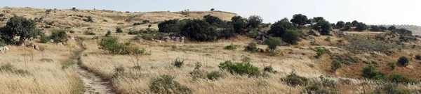 Israil Wadi Mezar Milli Parkı Nda Yaya Yolu — Stok fotoğraf