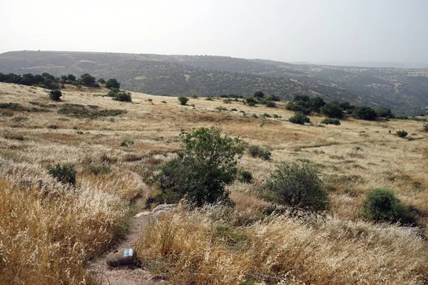 Wandelpad Wadi Mezar Nationaal Park Israël — Stockfoto