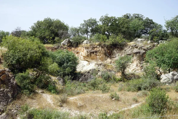 Ασβεστολιθικό Βράχο Και Δέντρα Στο Πάρκο — Φωτογραφία Αρχείου