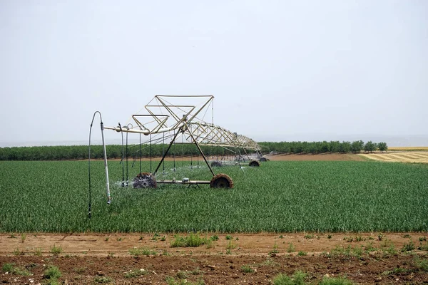 Instalação Rega Campo Trigo Israel — Fotografia de Stock