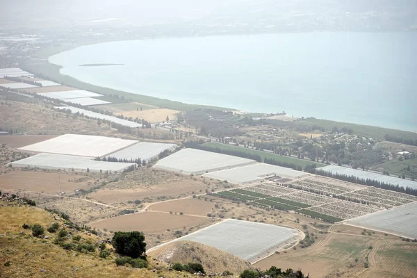 Kinnereth Gölü Yakınlarındaki Seralar Galilee Israil — Stok fotoğraf