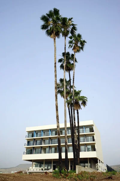 Tiberium Israil Circa Mayıs 2018 Yeni Otel Yüksek Palmiye Ağaçları — Stok fotoğraf