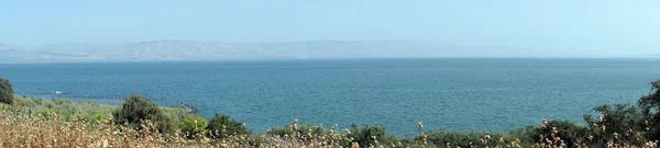 Blommor Och Kinneret Sjön Galileen Israel — Stockfoto