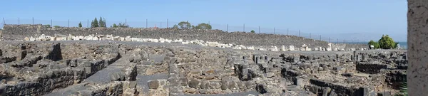 Capernaum Israel Mai 2018 Ruinen Der Antiken Stadt — Stockfoto