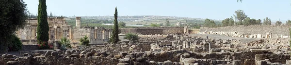 2018年 月年頃 カペナウム イスラエル古代の町の遺跡 — ストック写真