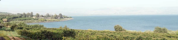Sad Brzegu Jeziora Kinneret Galilei Izrael — Zdjęcie stockowe