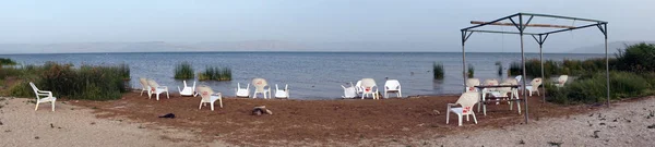 Chaises Plastique Près Lac Kinneret Galilée Israël — Photo