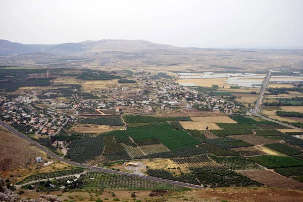 Planteringar Och Vingårdar Nära Kinneret Lake Galileen Israel — Stockfoto