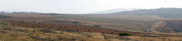 Uitzicht Vanaf Hitim Berg Gsalilee Israël — Stockfoto