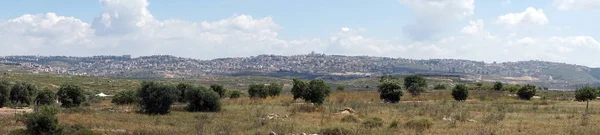 Platteland Buurt Van Nazareth Galilee Israel — Stockfoto