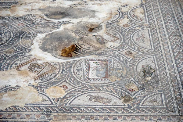 Zippori Srail Mayıs 2018 Yaklaşık Yerde Mozaikler — Stok fotoğraf