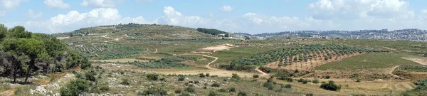 Campo Cerca Nazaret Galilea Israel —  Fotos de Stock