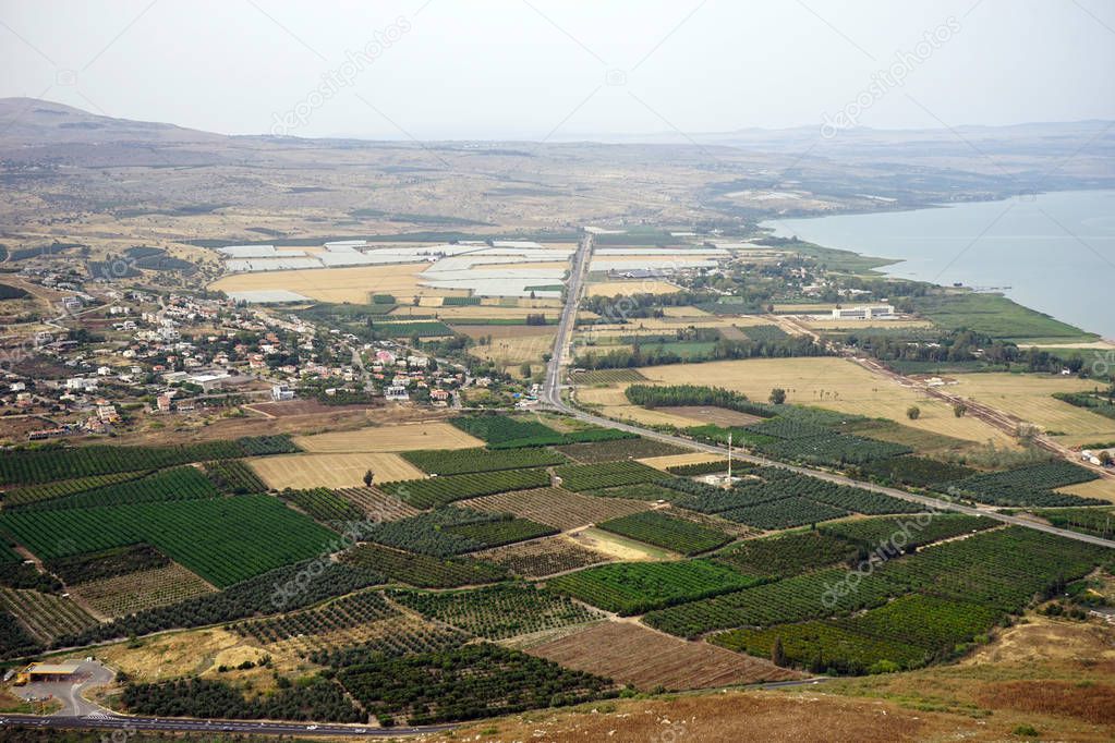 Vineyards near Kinneret lake in Galilee, Israel