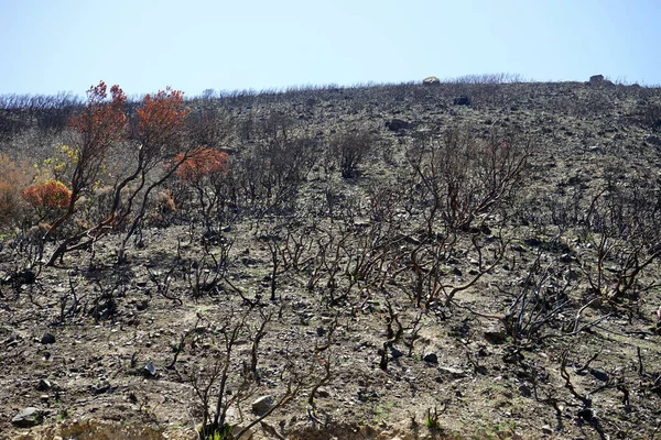 Depois Incêndio Rocha — Fotografia de Stock