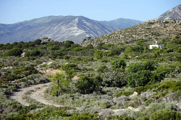 Pista Zona Montaña Costa Oeste Isla Krete Grecia — Foto de Stock