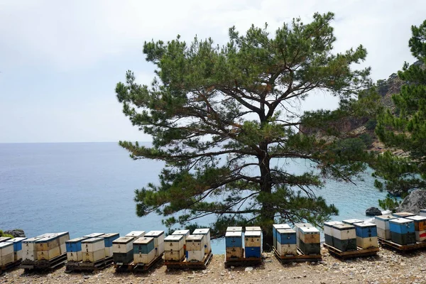 Colmenas Costa Sur Creta Grecia — Foto de Stock