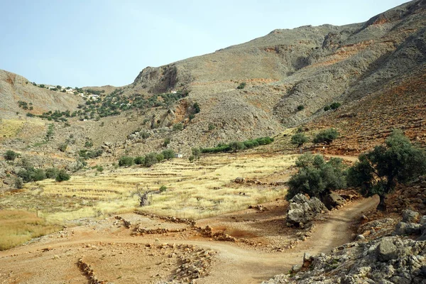 Pastwisko Stoku Południowym Odprężający Kreta Grecja — Zdjęcie stockowe