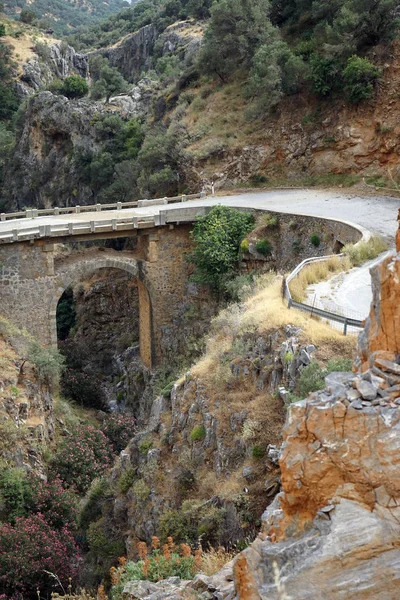 Παλιά Πέτρινη Γέφυρα Ροδάκινου Κρήτη Ελλάδα — Φωτογραφία Αρχείου