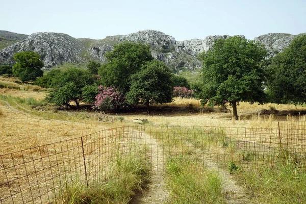 Pista Zona Rural Ilha Creta Grécia — Fotografia de Stock