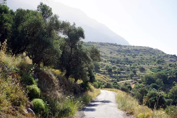 Strada Nella Zona Montana Creta Grecia — Foto Stock