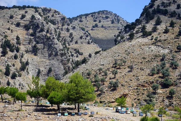 Beehives Slope Mountain Crete Island Greece — Stock Photo, Image