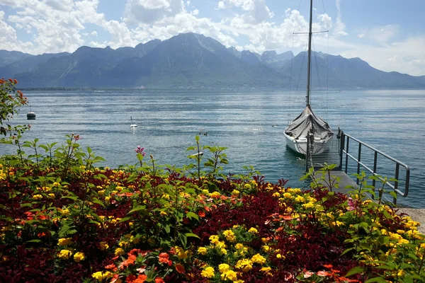 Blommor Och Yach Stranden Genèvesjön — Stockfoto