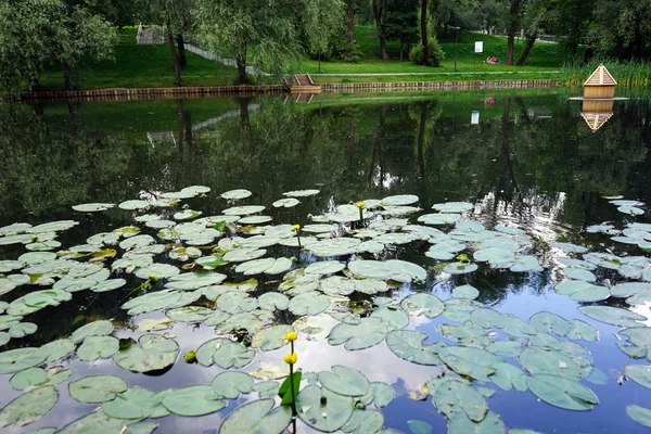 Moskou Rusland Circa Juli 2018Leontyevsky Vijver Het Park — Stockfoto