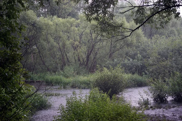 Pioggia Fiume Nel Parco Vicino Fiume Yauza Mosca — Foto Stock