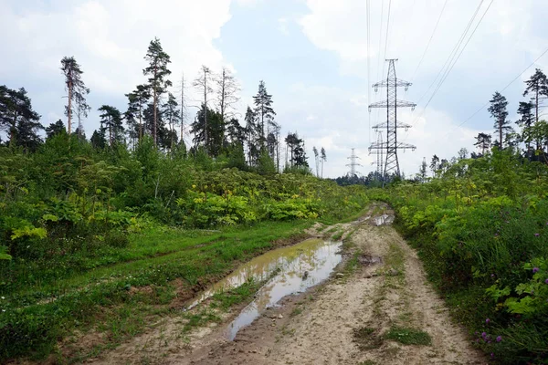 Pool Dirt Road Russiia — Stock Photo, Image