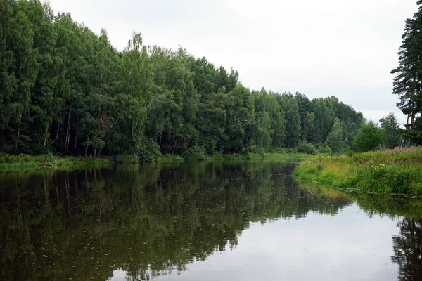 モスクワの近くの森の川セレブリャンスク — ストック写真