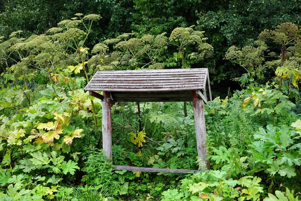 Houten Bankje Onder Het Dak Buurt Van Gras — Stockfoto